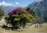 Lunch stop at Dharapani
