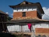 Pumpkins in Dharapani