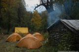 Our camp in the forest at Talitre Kharka 2520m