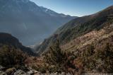 Descending in the forest towards Marpha