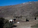 Summer pasture huts