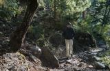 In the forest