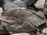 Prayer stone