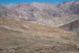 Our camp above Saldang