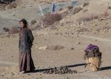 A local woman with her load of yak dung