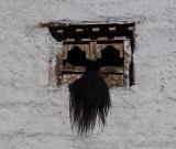 Yak tail hanging from a window