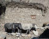 House in Charkha Bhot