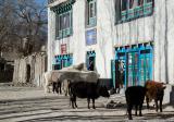 Ouside the walled city of Lo Manthang