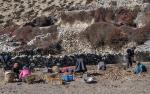 Digging out a store of potaoes