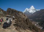 Ama Dablam and yak caravan