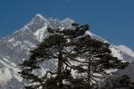 Lhotse from Tengboche