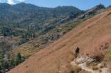 On our way down to Gamghadi