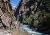 Along the river