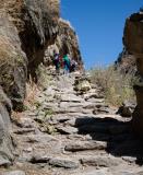 Path