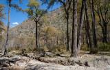 Along the Mugu Nadi