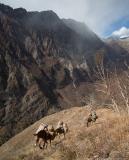 A very steep climb to 4500m