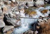 Small frozen bridge made out of a birch branch