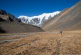Walking towards Pung Kharka 
