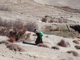 Daliy life: carrying water