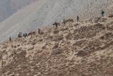 Descending to Bhijer