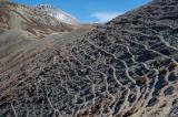 Terracettes