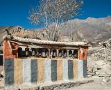Blue sheep horms in Syangboche