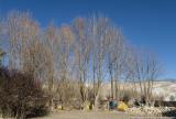 Our camp in Lo Manthang