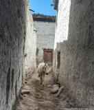 Lo Manthang