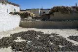 Drying dung in Namgyal