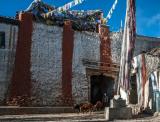 Outside the main gate of Lo Manthang