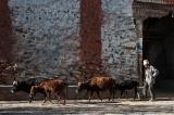 Outside the main gate of Lo Manthang
