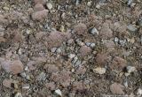 High altitude vegetation