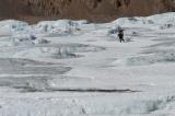 Porter arriving at high camp