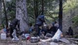 Lunch in the forest