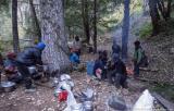 Lunch in the forest