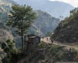 Along the road